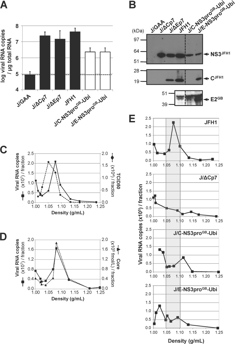 FIG 2