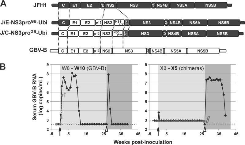 FIG 1