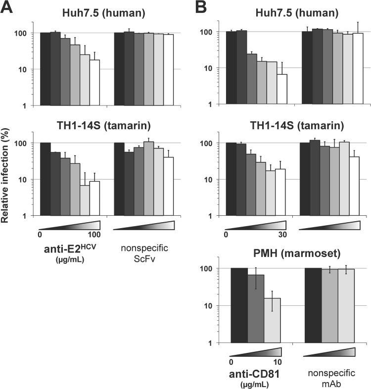 FIG 6