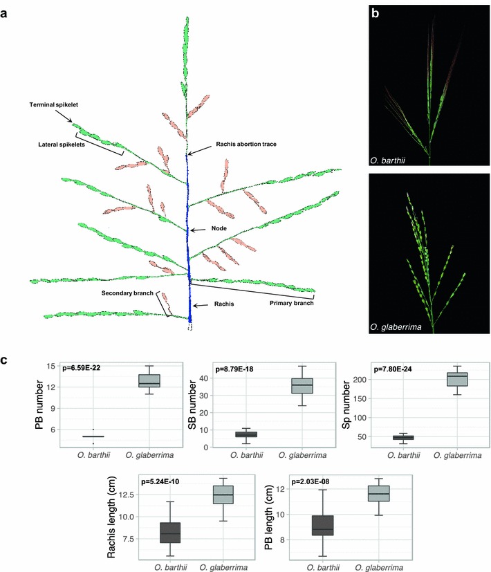 Fig. 1