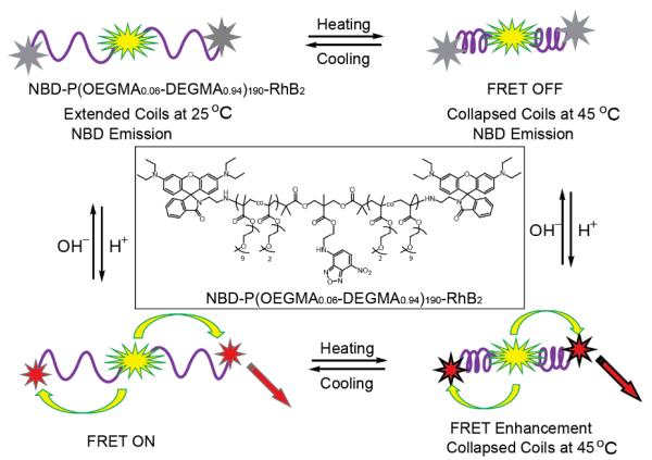 Scheme 7