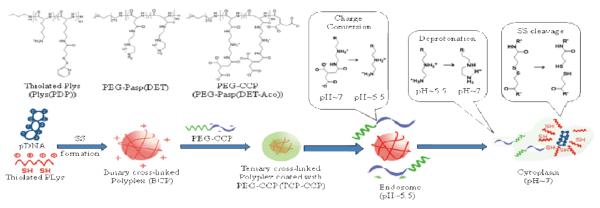 Scheme 5