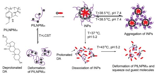 Scheme 6