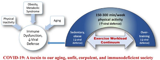 Image, graphical abstract