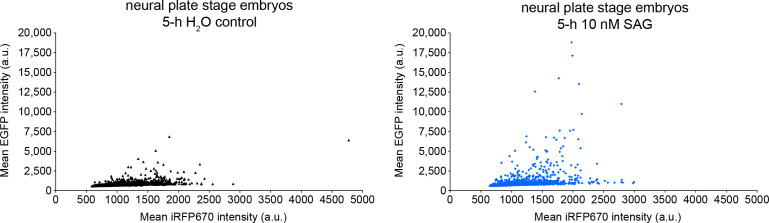 Figure 2—figure supplement 1.