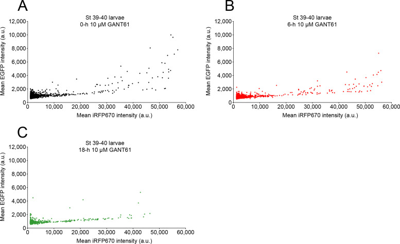 Figure 3—figure supplement 1.