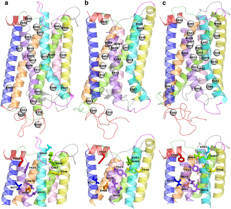 Fig. 1