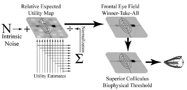 Fig. 9