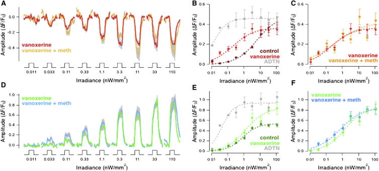 Figure 6