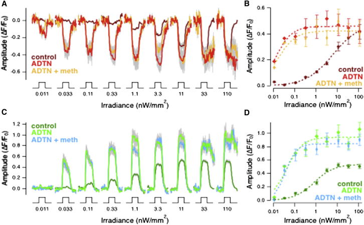 Figure 4