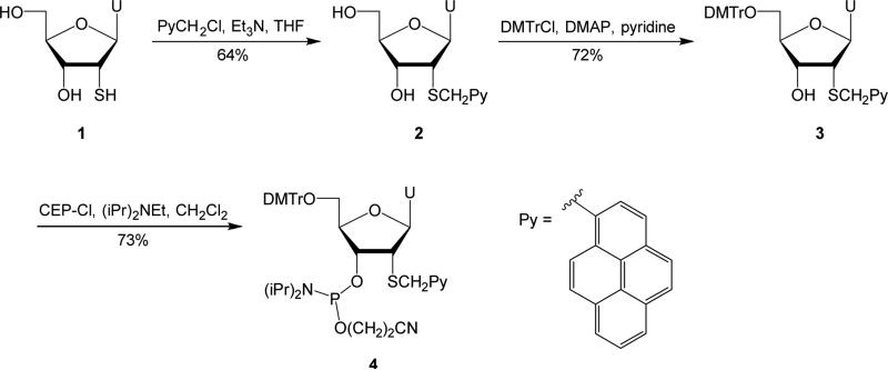 Scheme 1