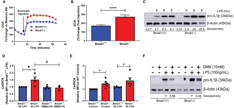 Figure 2