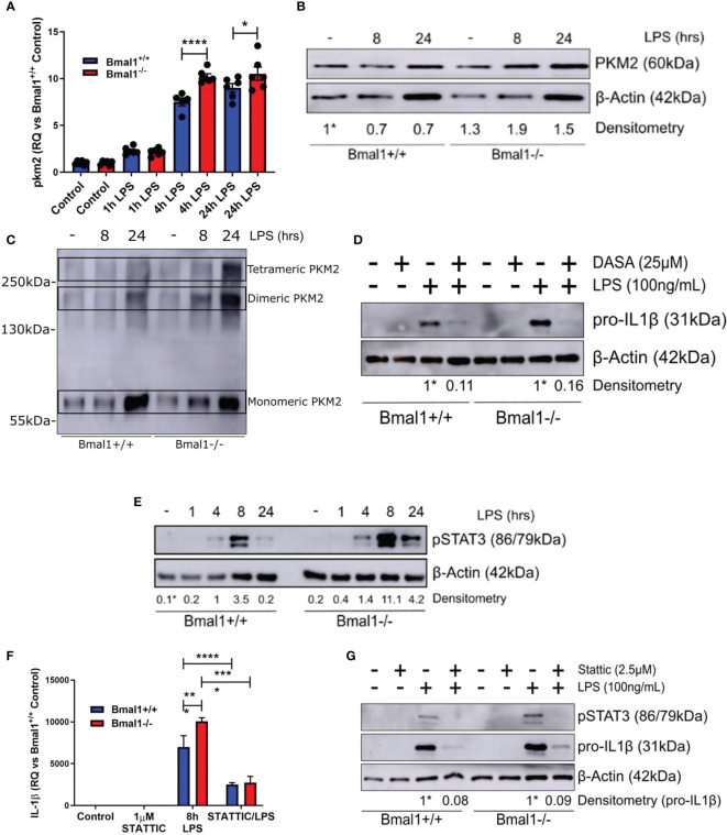 Figure 4