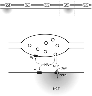 Figure 8