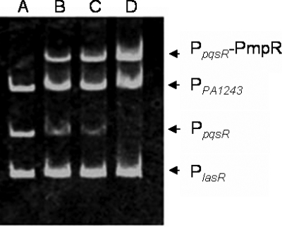 FIG. 6.