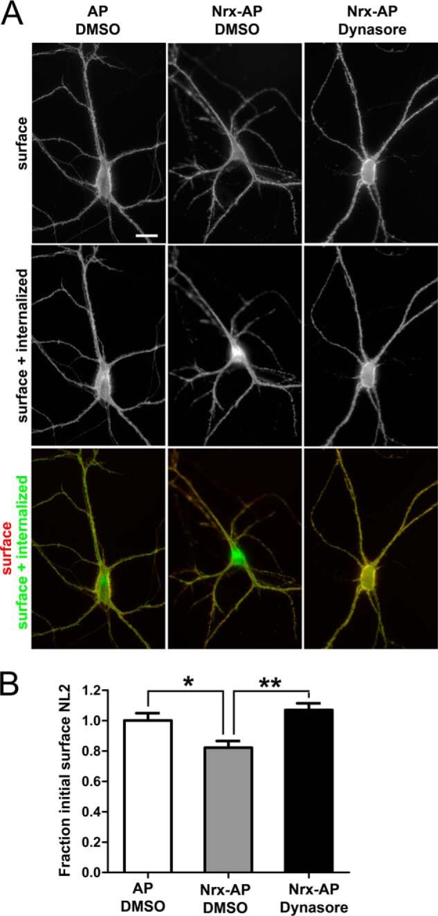 FIGURE 6.