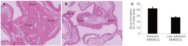 Fig. 9