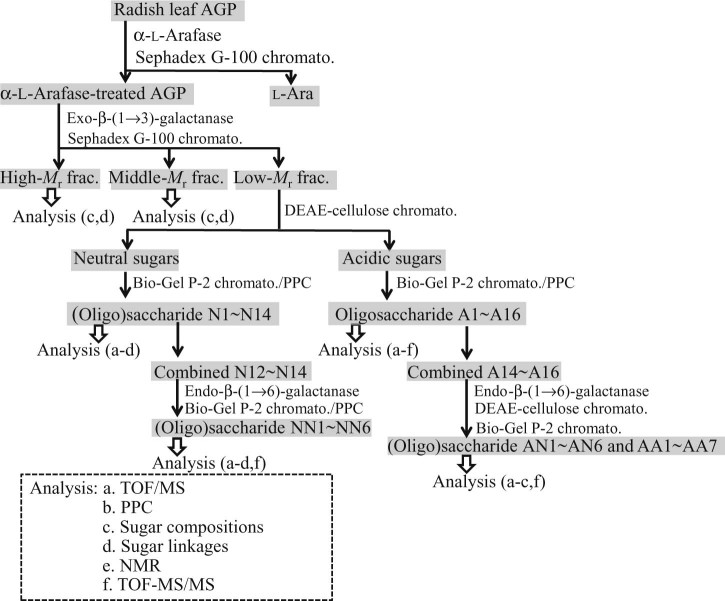 Fig. 1