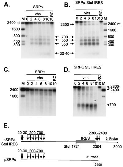 FIG. 5