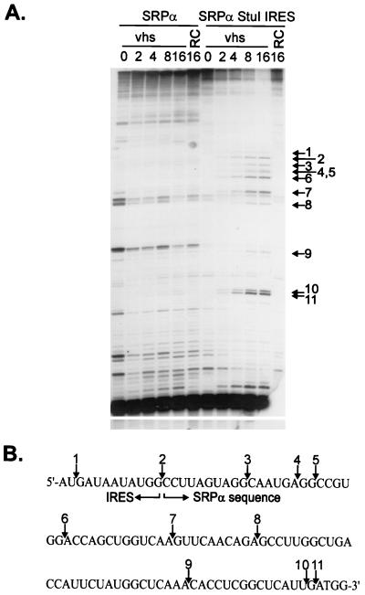 FIG. 6