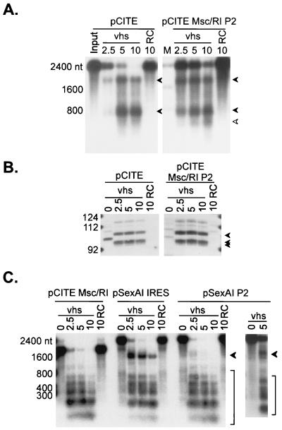 FIG. 7