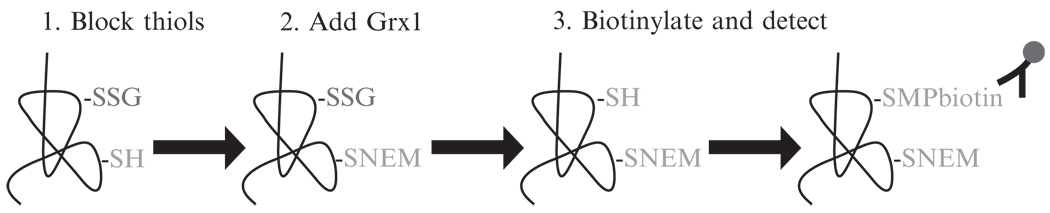 Figure 17.1