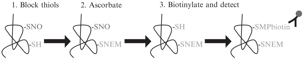 Figure 17.3