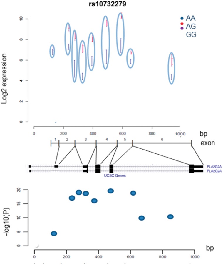 Figure 9