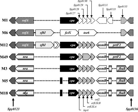 FIG. 1.