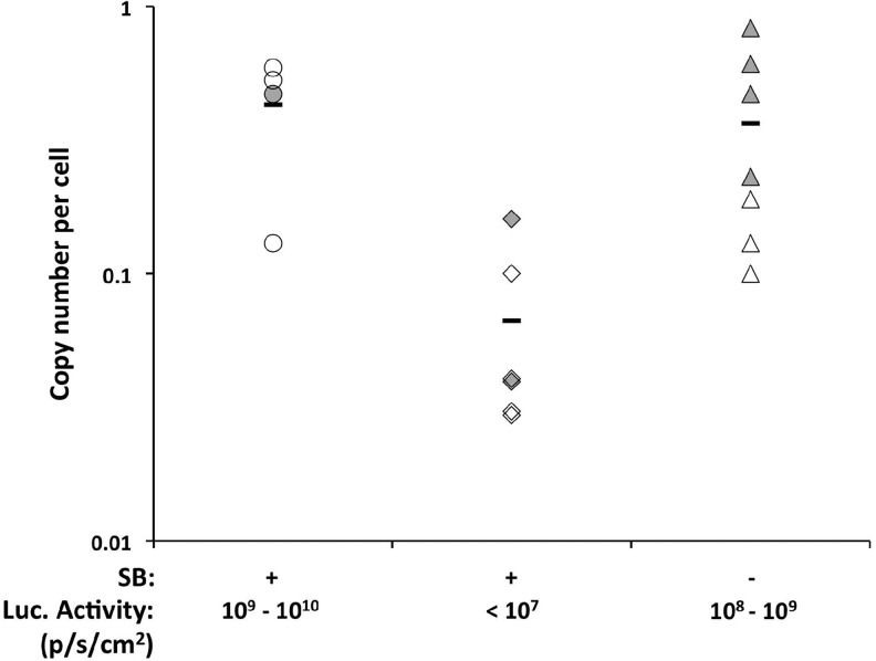 FIG. 5.