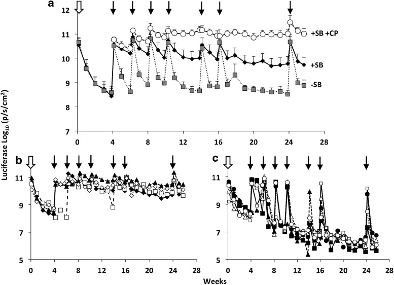 FIG. 4.