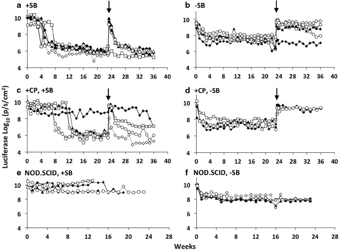 FIG. 2.