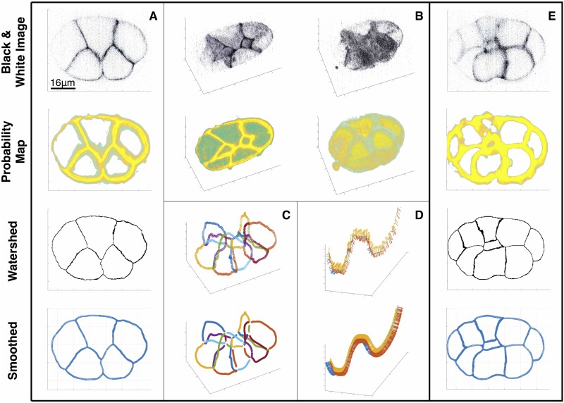 Fig 3