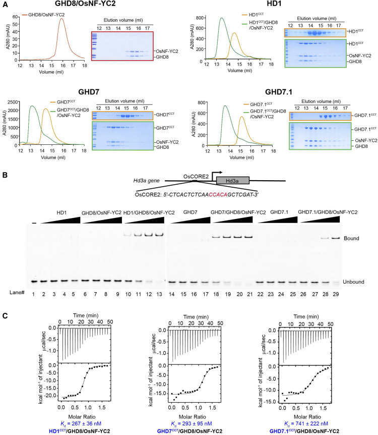 Figure 2.