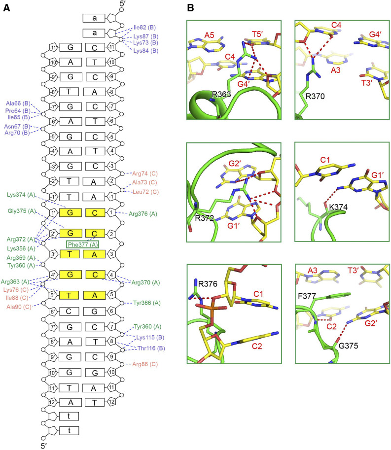 Figure 5.