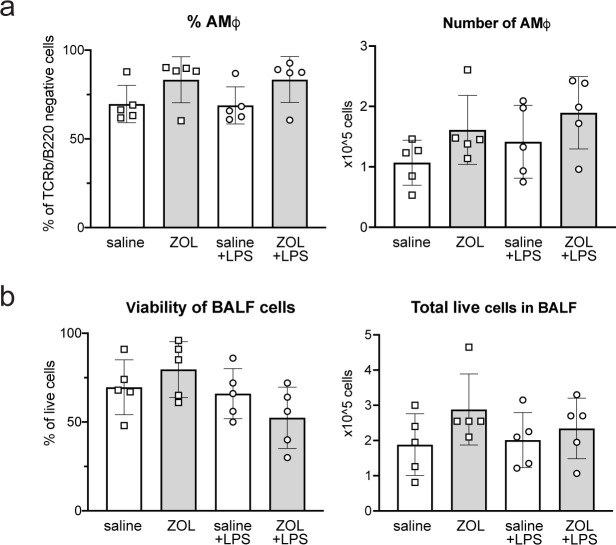 Figure 3—figure supplement 1.