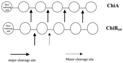 FIG. 8.