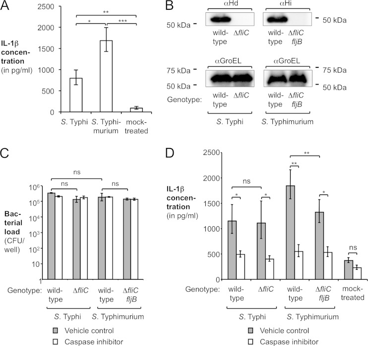 FIG 1