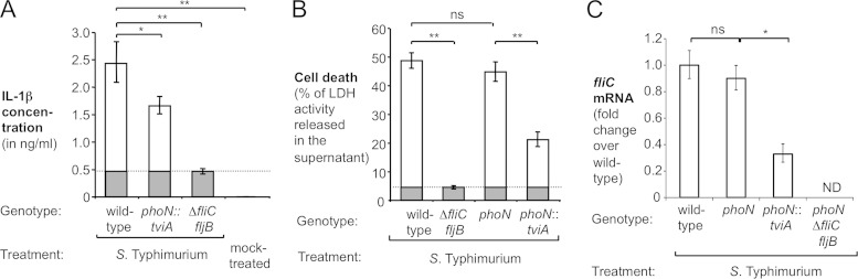 FIG 3