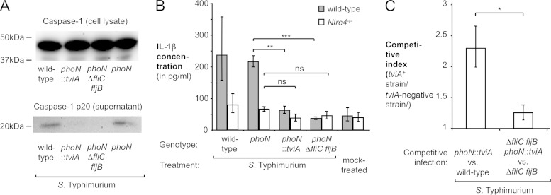 FIG 4