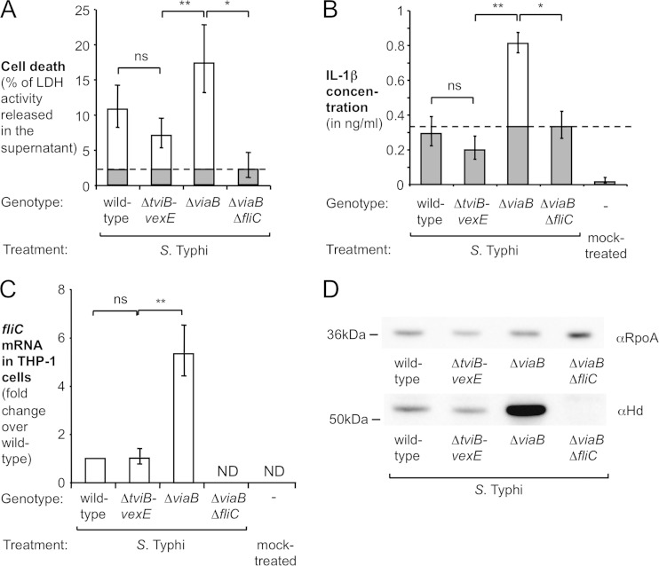 FIG 2