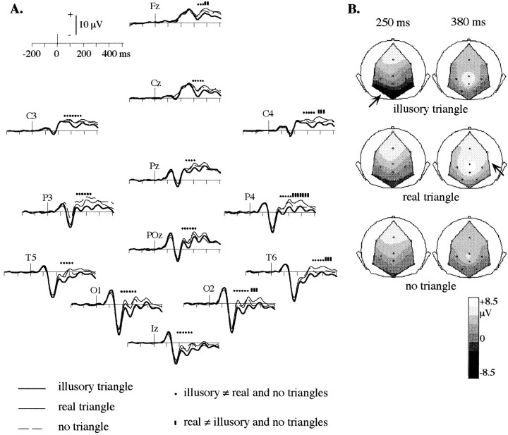 Fig. 8.