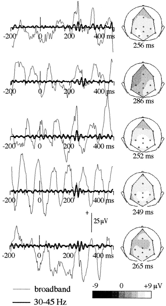 Fig. 5.