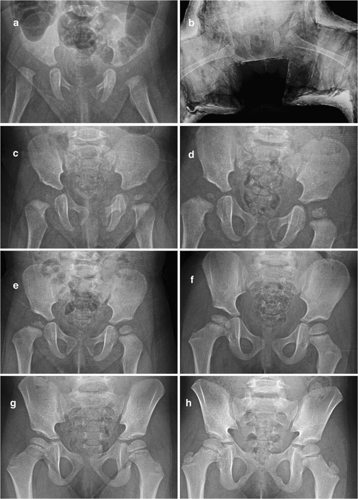 Fig. 1