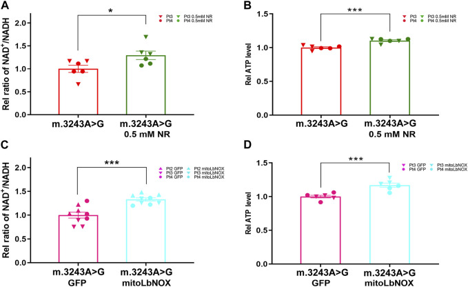 FIGURE 3