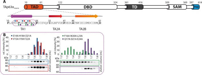 Figure 1—figure supplement 5.