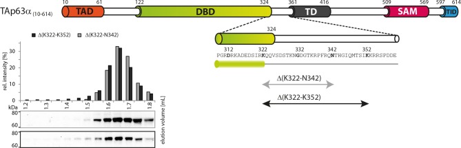 Figure 1—figure supplement 3.