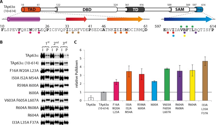 Figure 1—figure supplement 9.