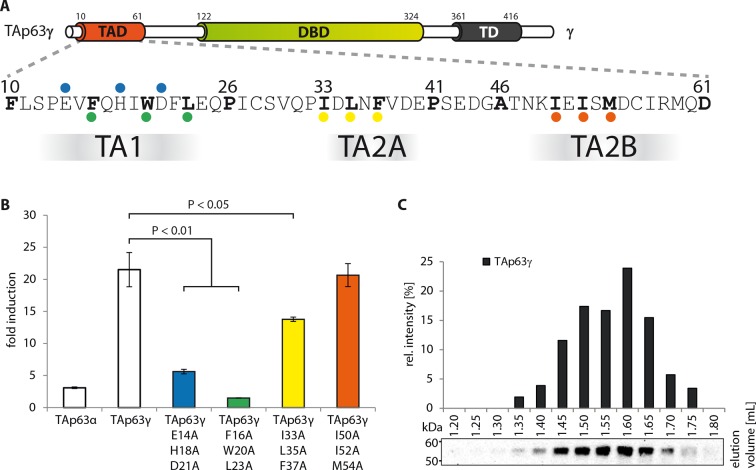 Figure 1—figure supplement 10.