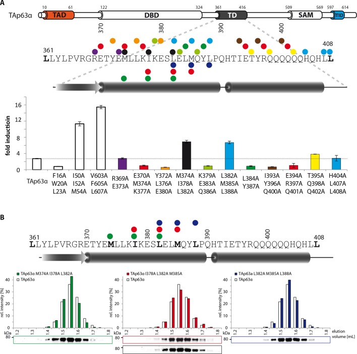 Figure 1—figure supplement 8.